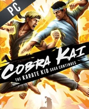 Cobra Kai The Karate Kid Saga Continues