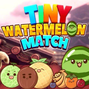 Tiny Watermelon Match Nintendo Switch