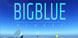 Big Blue Memory
