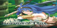 Legends of Talia Arcadia Nintendo Switch