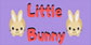 Little Bunny